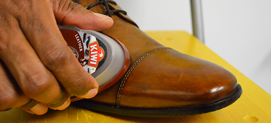 The Quick Shoe Shine