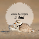 Style Saboteur - You're Becoming a Dad